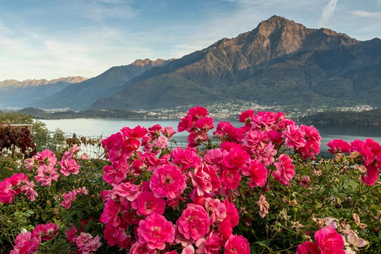Apartmán La Collina Degli Ulivi Vercana Exteriér fotografie