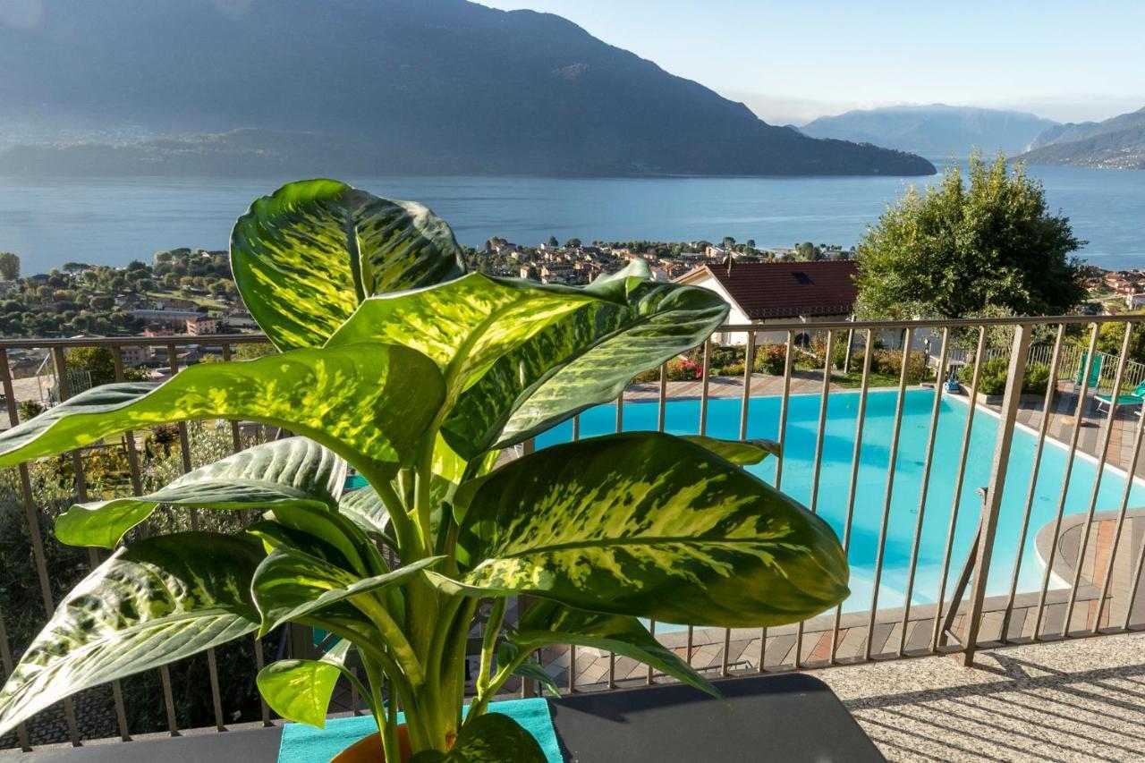 Apartmán La Collina Degli Ulivi Vercana Exteriér fotografie